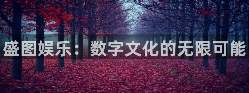 豪门国际app：盛图娱乐：数字文化的无限可能