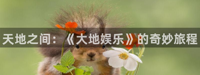 豪门国际所有网站：天地之间：《大地娱乐》的奇妙旅程