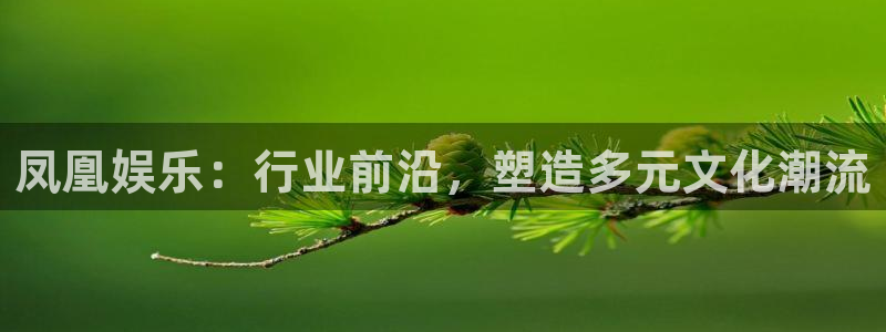 豪门国际com：凤凰娱乐：行业前沿，塑造多元文化潮流