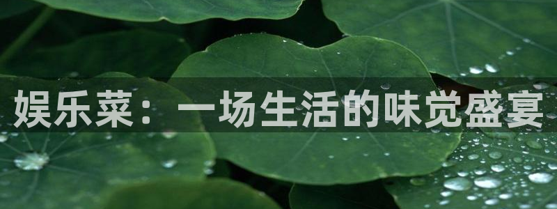 豪门国际ktv：娱乐菜：一场生活的味觉盛宴