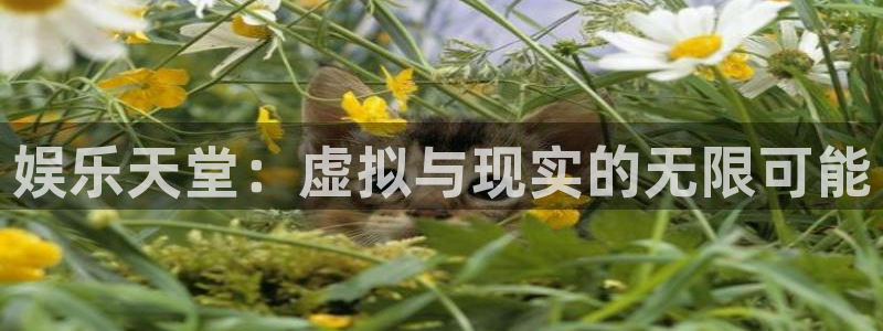 豪门国际水会：娱乐天堂：虚拟与现实的无限可能