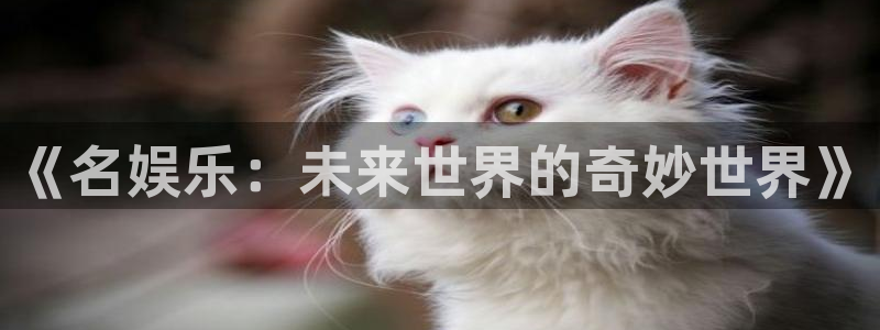 豪门国际com：《名娱乐：未来世界的奇妙世界》