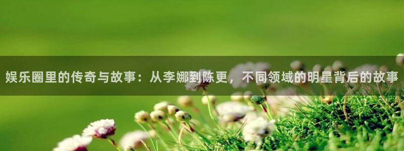豪门国际下载：娱乐圈里的传奇与故事：从李娜到陈更，不同领域的明星背后的故事