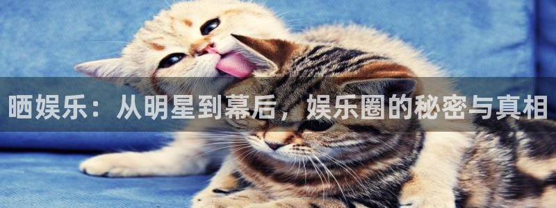 豪门国际网站：晒娱乐：从明星到幕后，娱乐圈的秘密与真相