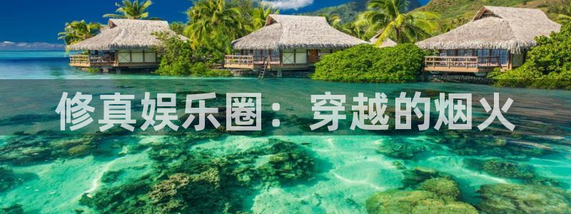 豪门国际酒店：修真娱乐圈：穿越的烟火