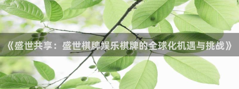 豪门国际所有网站：《盛世共享：盛世棋牌娱乐棋牌的全球化机遇与挑战》