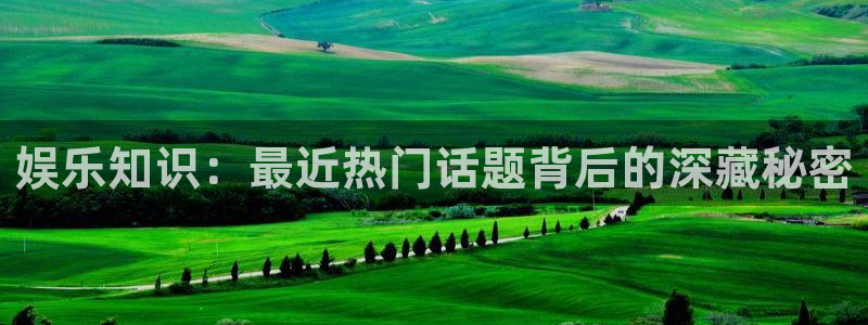 豪门国际酒店：娱乐知识：最近热门话题背后的深藏秘密