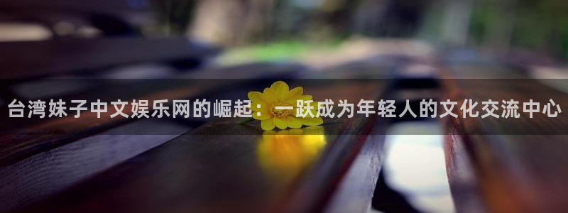 豪门国际下载：台湾妹子中文娱乐网的崛起：一跃成为年轻人的文化交流中心