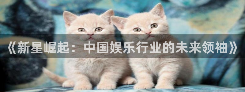 豪门国际水会：《新星崛起：中国娱乐行业的未来领袖》