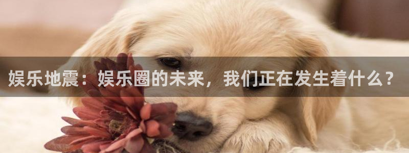 豪门国际官网：娱乐地震：娱乐圈的未来，我们正在发生着什么？