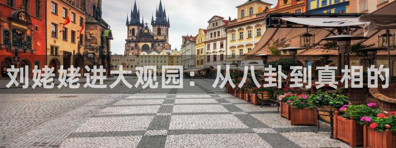 豪门国际是什么平台：刘姥姥进大观园：从八卦到真相的