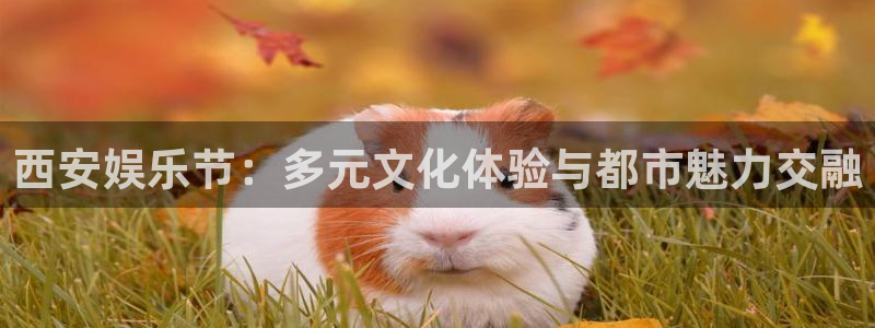 豪门国际怎么玩：西安娱乐节：多元文化体验与都市魅力交融