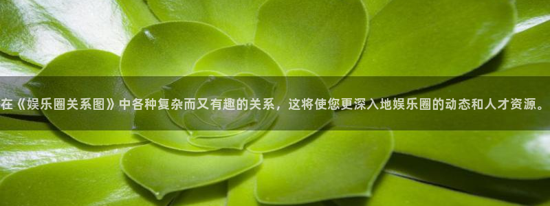 豪门国际app下载地址：在《娱乐圈关系图》中各种复杂而又有趣的关系，这将使您更深入地娱乐圈的动态和人才资源。