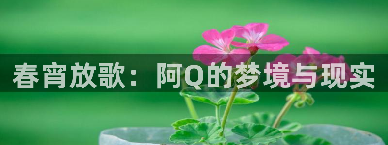 豪门国际pg电子：春宵放歌：阿Q的梦境与现实