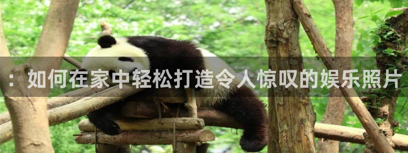 豪门国际网站：：如何在家中轻松打造令人惊叹的娱乐照片