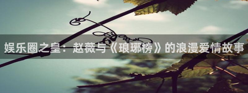 豪门国际是什么平台：娱乐圈之皇：赵薇与《琅琊榜》的浪漫爱情故事