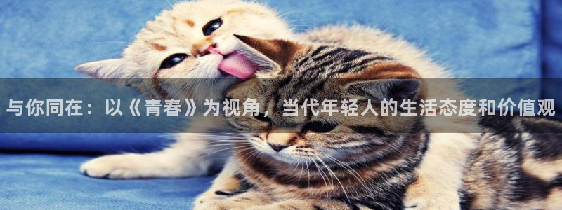 豪门国际：与你同在：以《青春》为视角，当代年轻人的生活态度和价值观