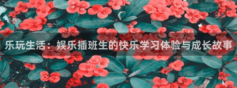 豪门国际俱乐部：乐玩生活：娱乐插班生的快乐学习体验与成长故事